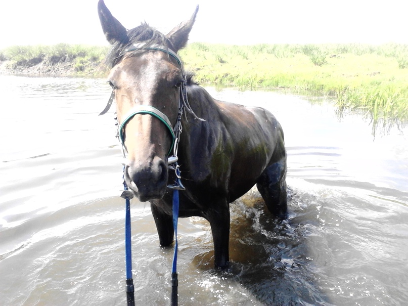 Катерина Семененко | Абакан