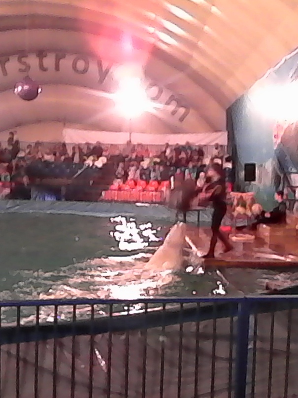 Анна Вепрева | Сыктывкар