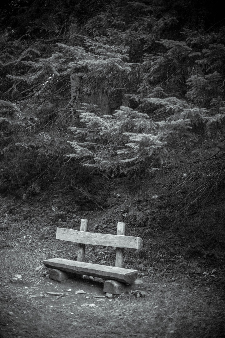 Артем Брежнев | Киев