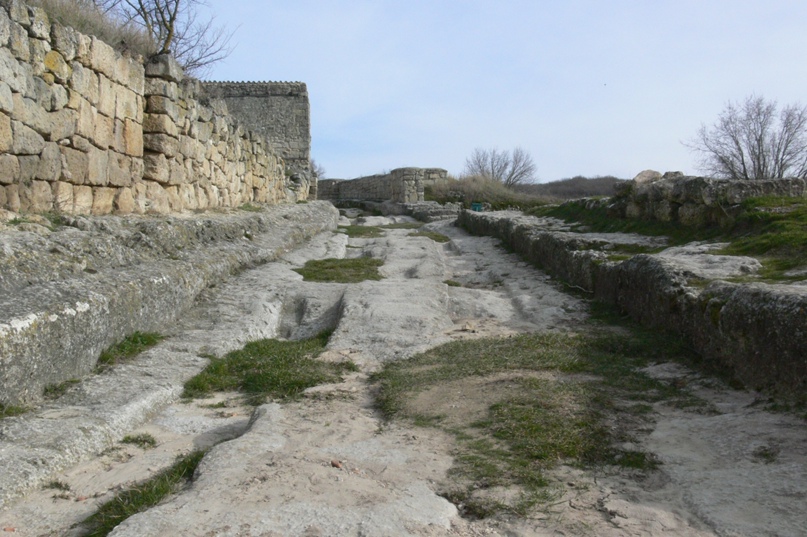 Наталья Салтанова | Москва