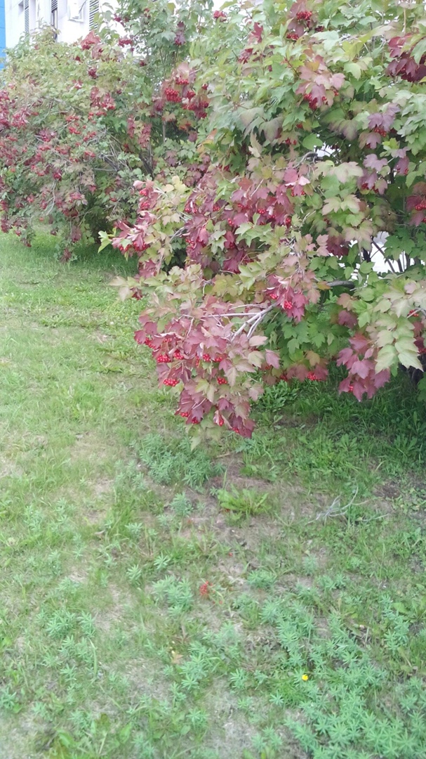 Александр Васильченко AVASKO | Нижневартовск