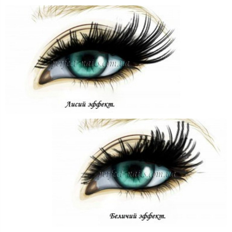 Лиса эффект наращивания 3д