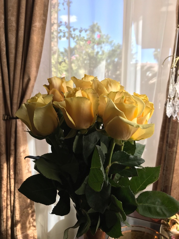 Татьяна Игнатенко | Las Vegas