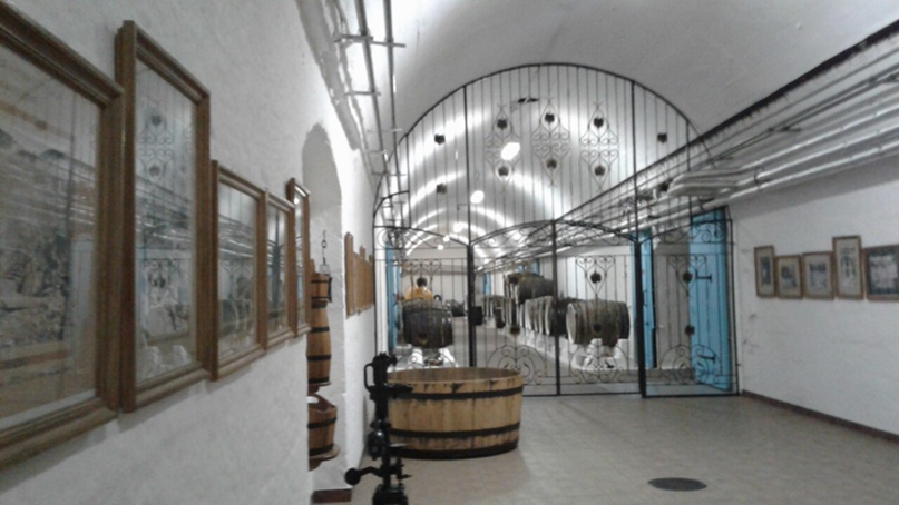 Светлана Горина | Северодвинск