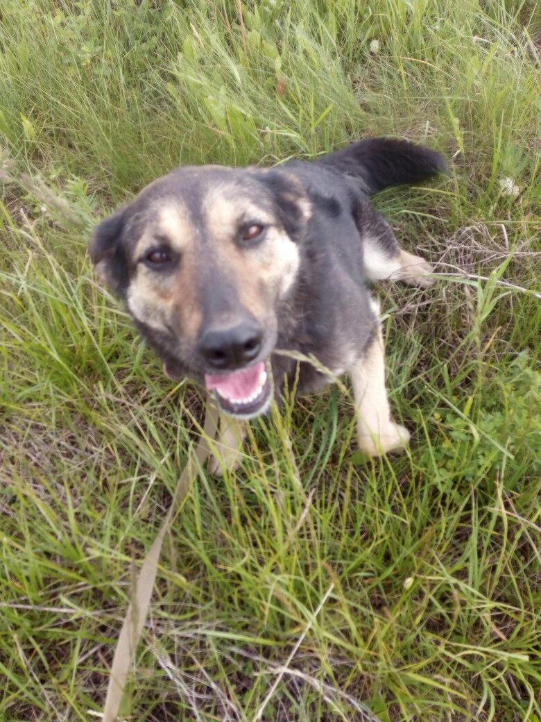 Виктория Зверева | Пермь