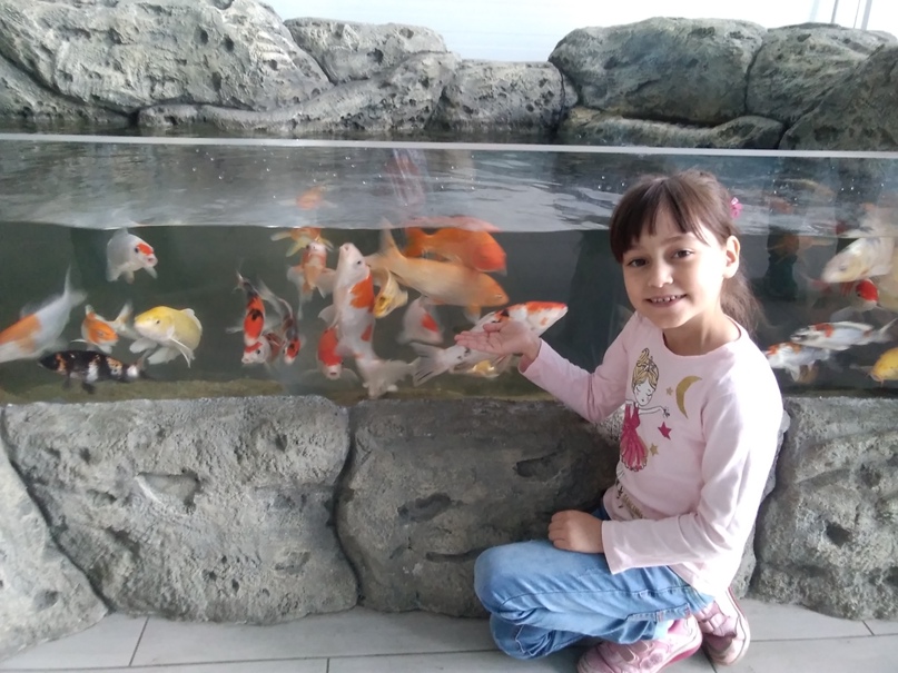 Ольга Коротаева | Каменск-Уральский