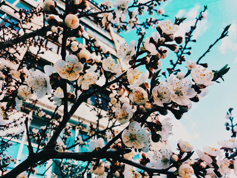 Анастасия Илюхина | Дзержинск