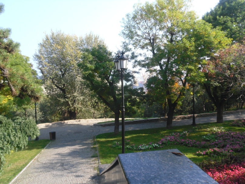 Юлия Дмитриева |