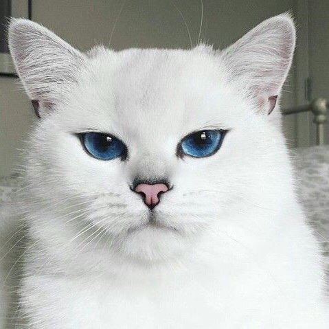 Женя Барсукова |