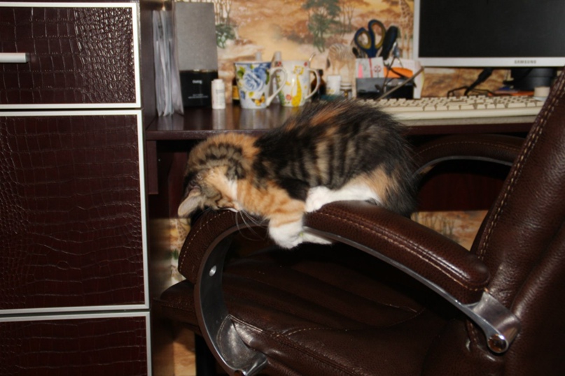 Екатерина Варнавская | Санкт-Петербург