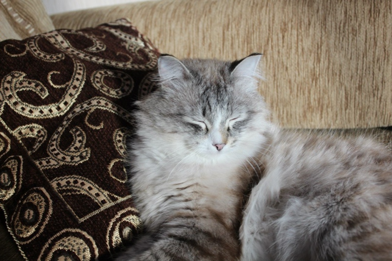 Алексей Бакланов | Томск