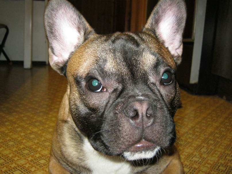 Ирина Ивановна | Кривой Рог