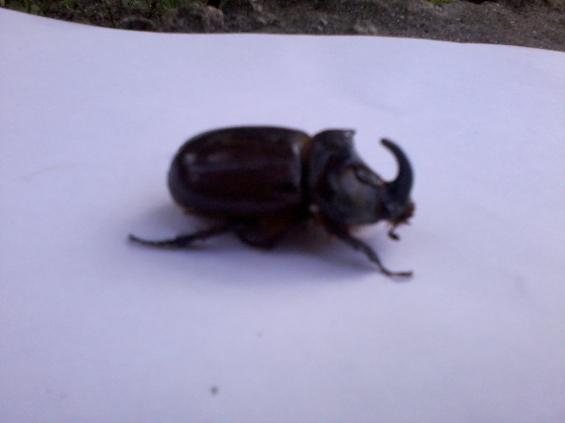 Сергей Абрамов Sergo | Кропивницкий / Кировоград