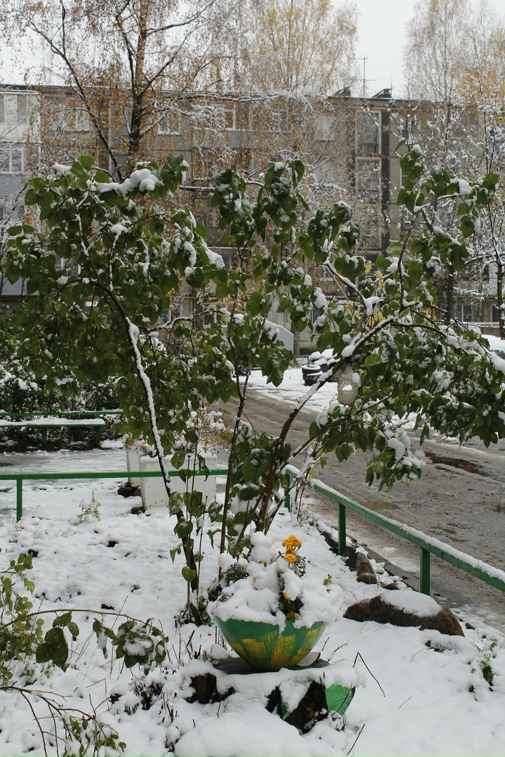 Павел Романов | Смоленск