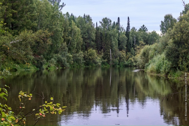 Река шиш Река шиш