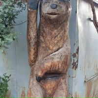 Евгения Кабанова |