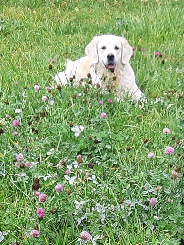 Светлана Ерохина | Санкт-Петербург