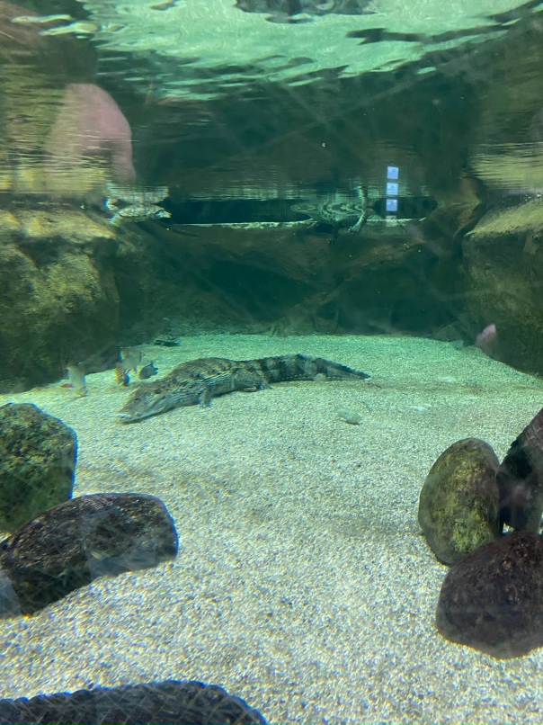 Андрюха Кузнецов | Москва