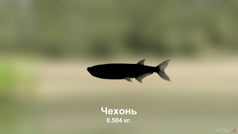 Игорь Рыбак | Запорожье