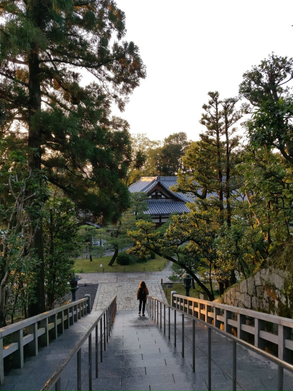 Дмитрий Аникин | Москва