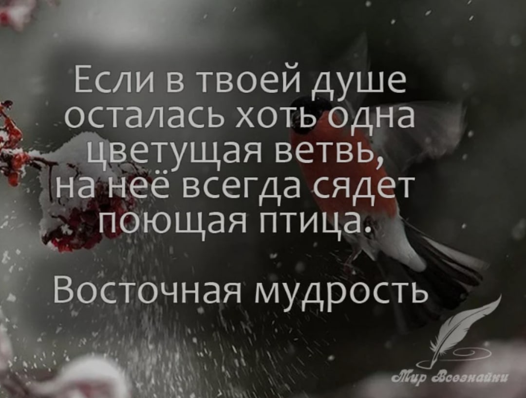 Высказывания о душе