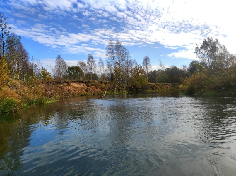 Татьяна Арефьева | Рославль