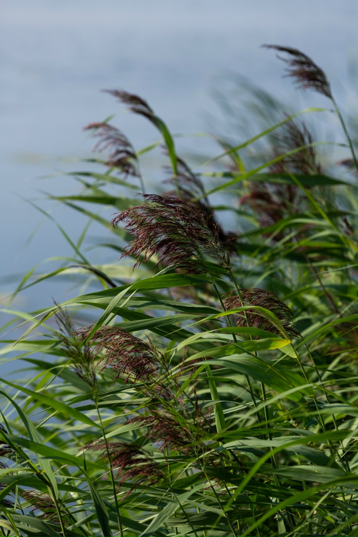 Юлия Бочкарева redhat | Уфа