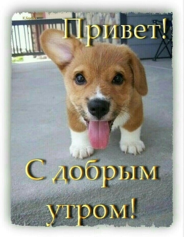Пин на доске © МОИ ОТКРЫТКИ ДЛЯ "ООК" ✿