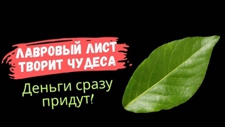 Лавровый лист творит чудеса! Просто положите его по углам