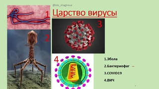 Биология 5 класс  Пономарева 8 параграф. Царства живой природы. Систематика. Вирусы.
