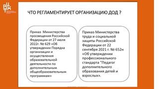 Львова Л С  трансформация ДО разработка и обновления ДОП
