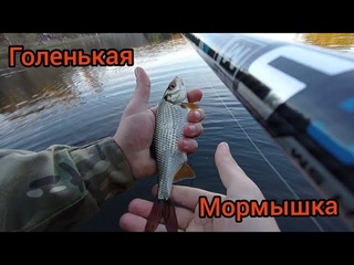ЭТА СНАСТЬ НЕ ДАСТ СДОХНУТЬ С ГОЛОДА!Боковой кивок!