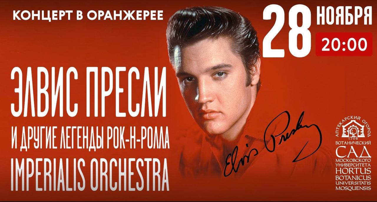 Imperialis Orchestra 28 ноября
