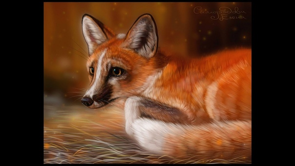 Speedpaint fox (