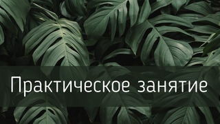 ПП практика /