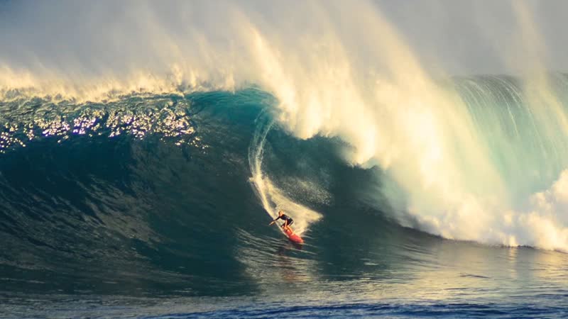 The Legend of Coconut Willie: Coconut Farmer, Big Wave