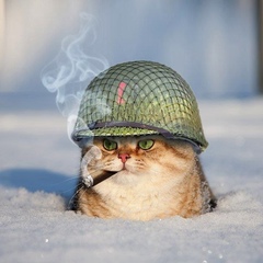 Александр Листопад