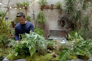 GANT Rugger FW14 - Green Fingers