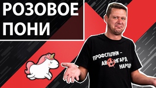 Мир, который мы хотели построить. Чаплыга без вопросов