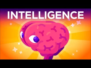Что такое интеллект Где это начинается