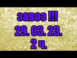 Продажа орхидей. ( Завоз 29. 03. 23 г.) 2 ч. Отправка только по Украине. ЗАМЕЧТАТЕЛЬНЫЕ КРАСОТКИ