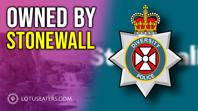 Diversity and Inclusion Enforcers, feat. Harry