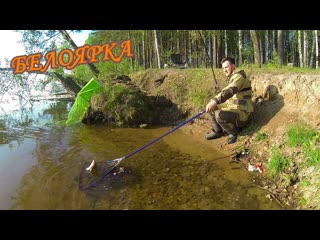 БЕЛОЯРКА. ФИДЕР. РЫБАЛКА УДАЛАСЬ. Подлещик радовал.