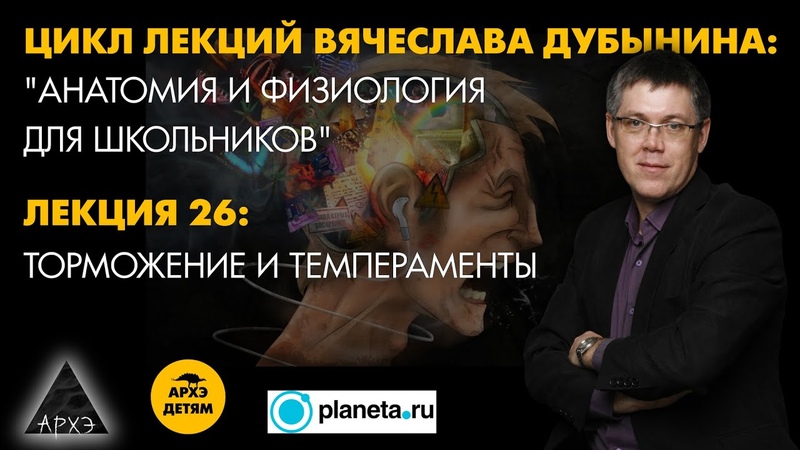 Вячеслав Дубынин: Торможение и темпераменты (Лекция