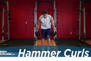 Hammer Curl - Biceps Exercise -